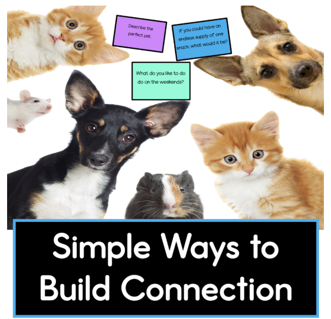 Friendship in the Classroom: Simple Ways to Help Students Build Meaningful Connections